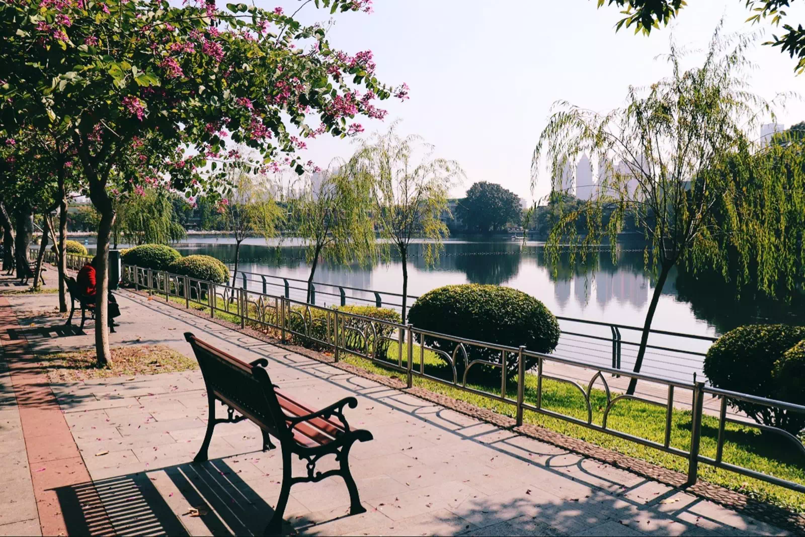 真昼間の公園
