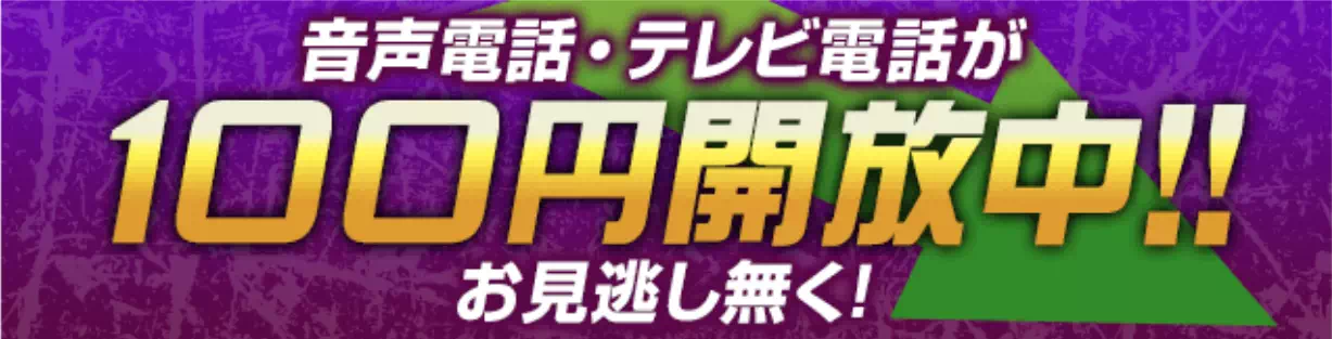 100円開放中